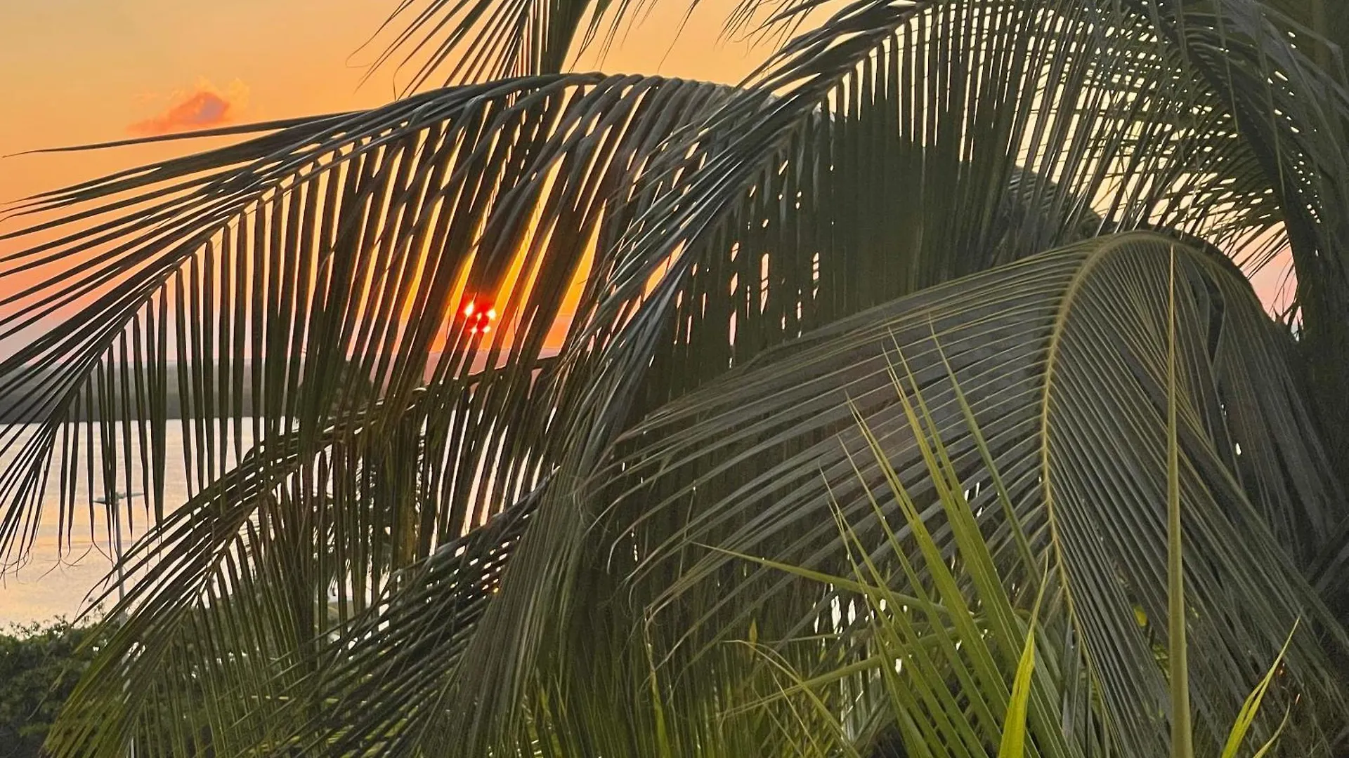 Ova Apartments Cancún México
